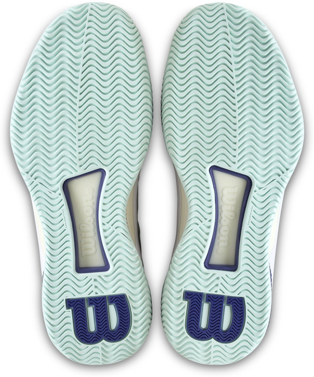 Кроссовки Wilson Intrigue Tour белый
