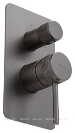 Смеситель для душа ALLEN BRAU 5.31011-MG PRIORITY X2, латунь, цвет графит купить,239500