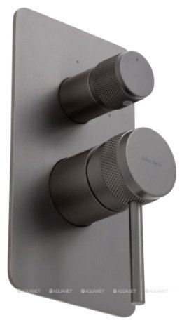 Смеситель для душа ALLEN BRAU 5.31011-MG PRIORITY X2, латунь, цвет графит купить,239500