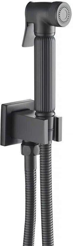 Смеситель для биде Timo Torne 4389/03SM black, латунь, цвет черный купить,NaN