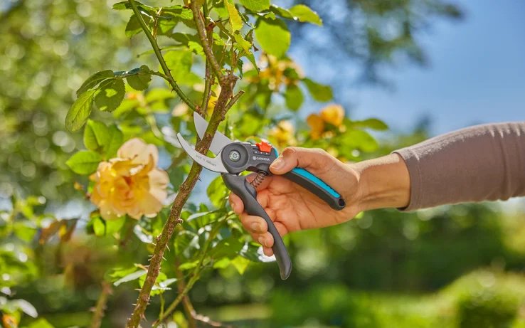 Секатор GARDENA 12242-20 PremiumCut Flex купить,0