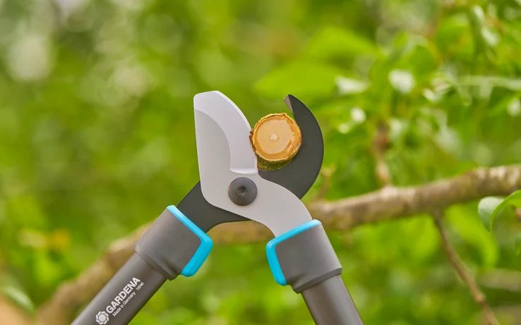 Сучкорез GARDENA 12040-20 Telecut Pro s купить,0