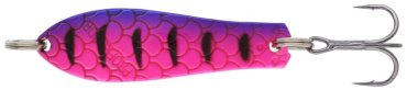 Kuusamo Professor 4 50-8 BL-Li-S UV