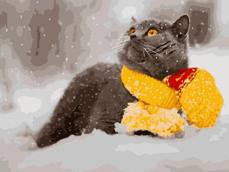 Картина по номерам с цветной схемой Molly Британец в шарфе  30х40 20 цветов купить,NaN