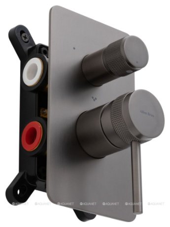 Смеситель для душа ALLEN BRAU 5.31A11-MG PRIORITY X3, латунь, цвет графит купить,251500