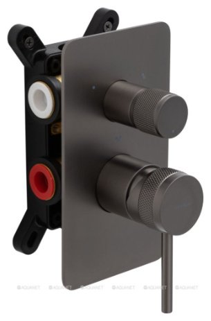 Смеситель для душа ALLEN BRAU 5.31A11-MG PRIORITY X3, латунь, цвет графит купить,251500