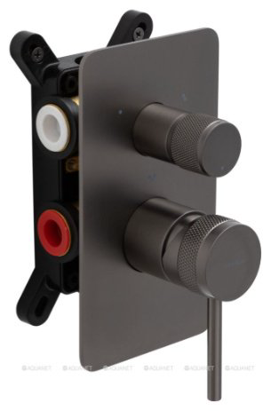 Смеситель для душа ALLEN BRAU 5.31A11-MG PRIORITY X3, латунь, цвет графит купить,251500
