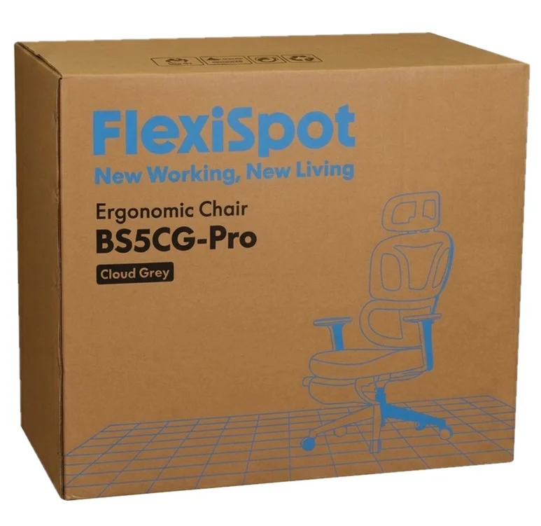 Кресло офисное FlexiSpot BS5CG-PRO облачно серый