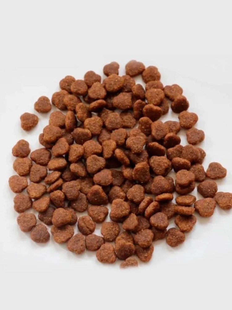Корм Sirius Adult для взрослых лосось, рис 1.5 кг купить,NaN