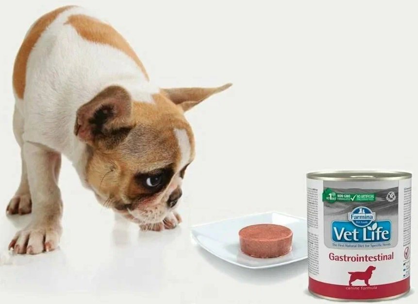Корм Farmina Vet Life Gastrointestinal для всех пород 300 г 1 шт купить,NaN