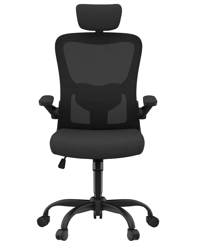 Кресло офисное FlexiSpot OC1-B черное