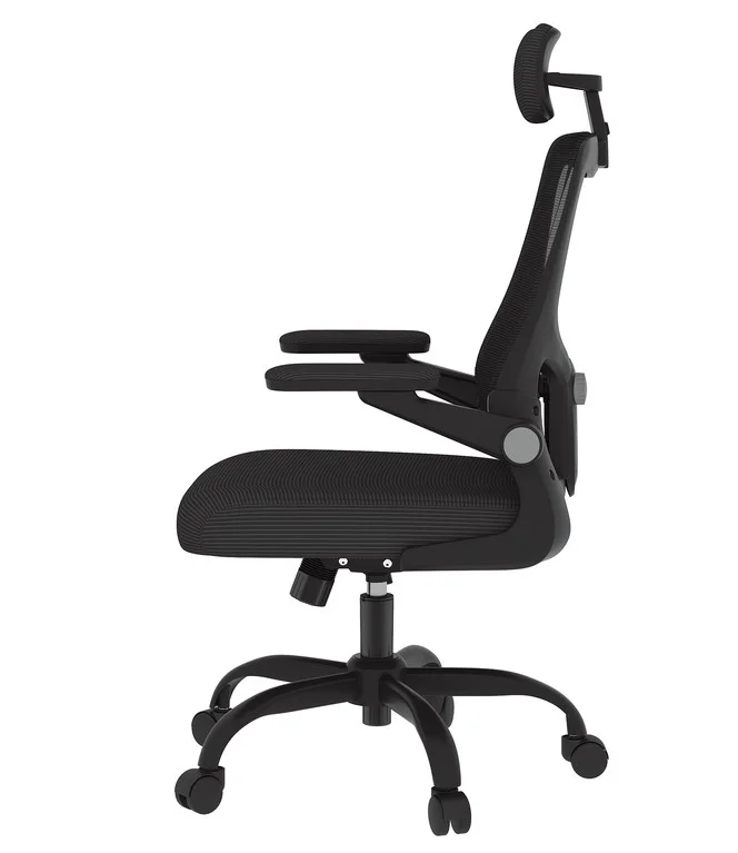 Кресло офисное FlexiSpot OC1-B черное