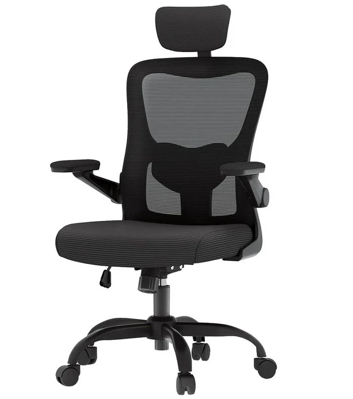 Кресло офисное FlexiSpot OC1-B черное