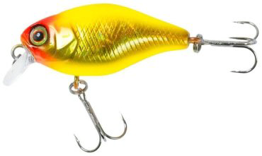 Jackall Chubby 38F Gold &chart 4248-269