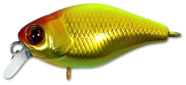 Jackall Chubby 38F Gold &chart 4248-269