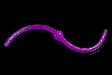 Jara Baits Jum-Jum 04486