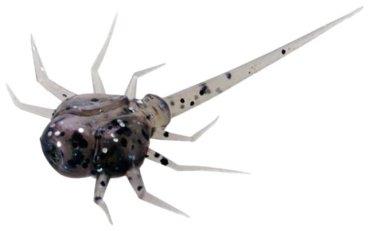Мягкая приманка 13 Fishing CC-PP Fishing Coconut Crab Panfish Plastics 6 шт