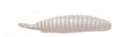 Мягкая приманка Trout Zone Pupa23c01 7 шт