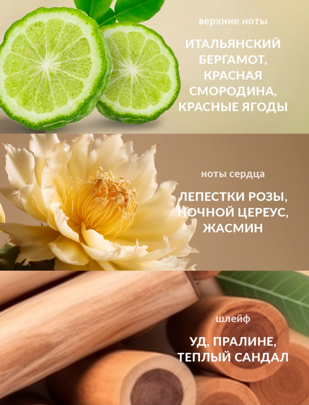 Avon Luck for Her парфюмерная вода EDP 50 мл, для женщин - ForteMarket Avon Luck for Her парфюмерная вода EDP 50 мл, для женщин купить,7199