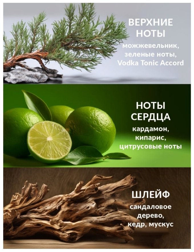 Avon Full Speed туалетная вода EDT 100 мл, для мужчин - ForteMarket Avon Full Speed туалетная вода EDT 100 мл, для мужчин купить,7399
