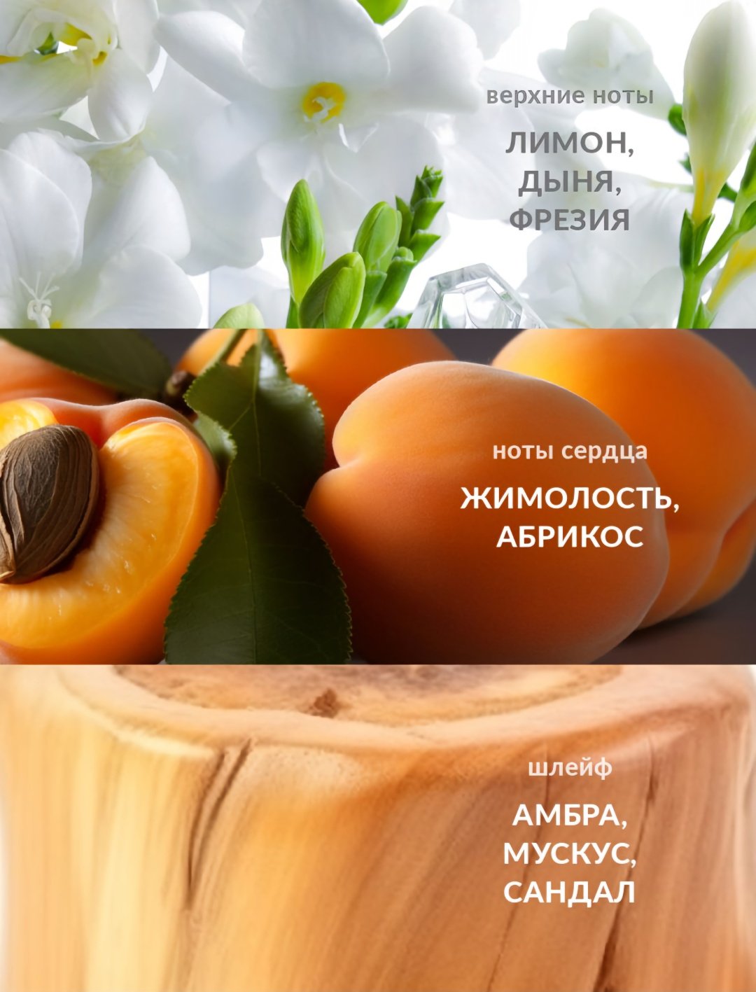 Avon Perceive Dew туалетная вода EDT 50 мл, для женщин купить,6290