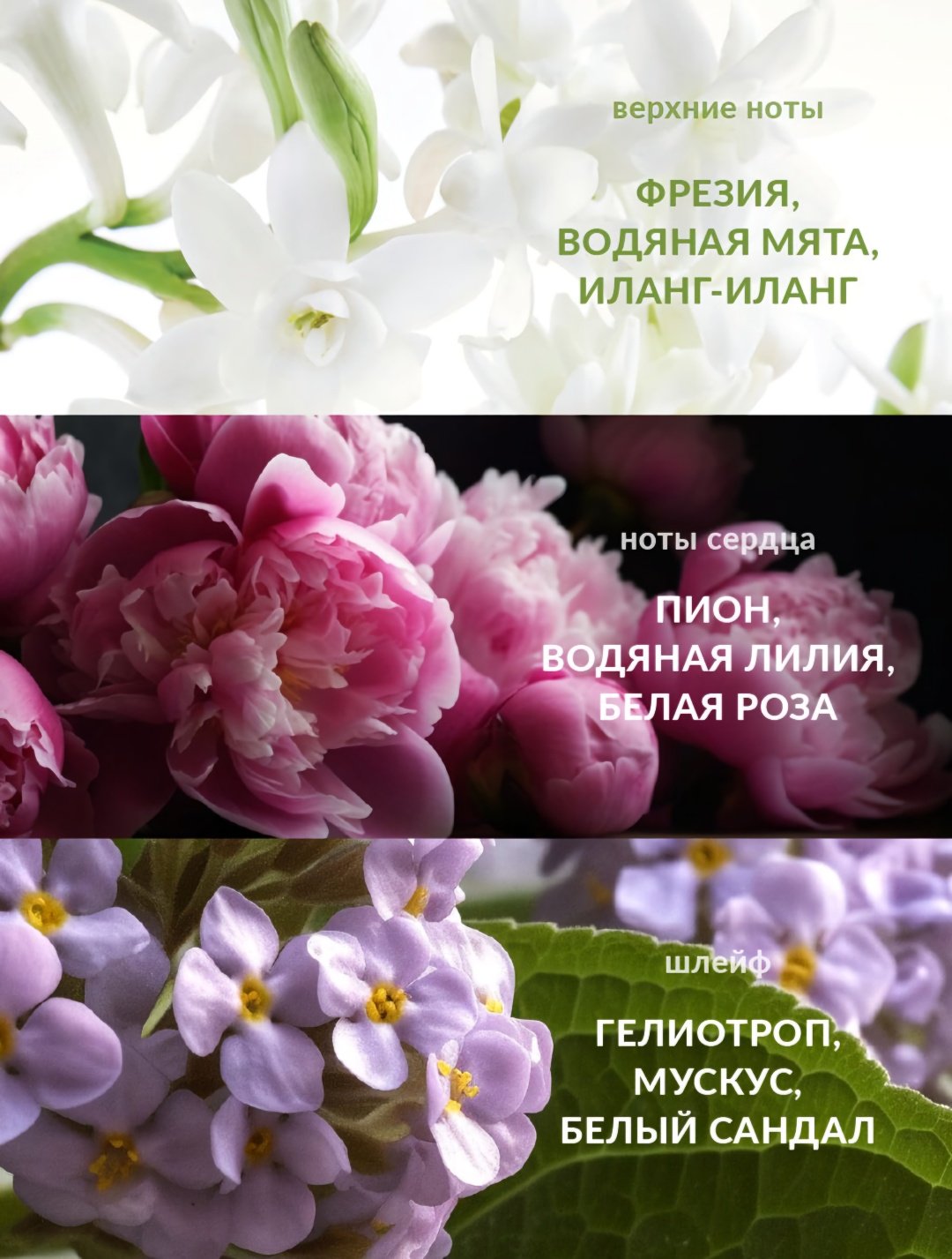Avon Pur Blanca парфюмерная вода EDP 50 мл, для женщин купить,4500