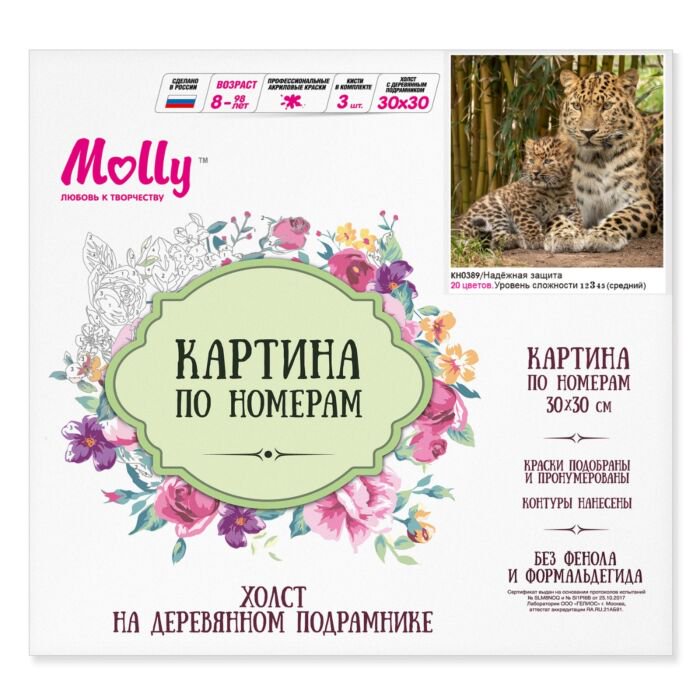 Картина по номерам Molly Надежная Защита 30х30 20 цветов купить,NaN