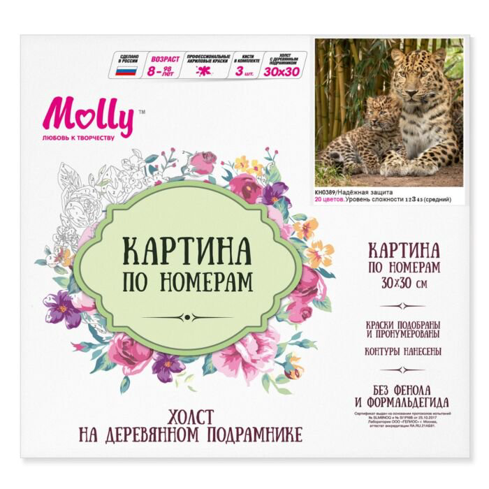 Картина по номерам Molly Надежная Защита 30х30 20 цветов купить,NaN
