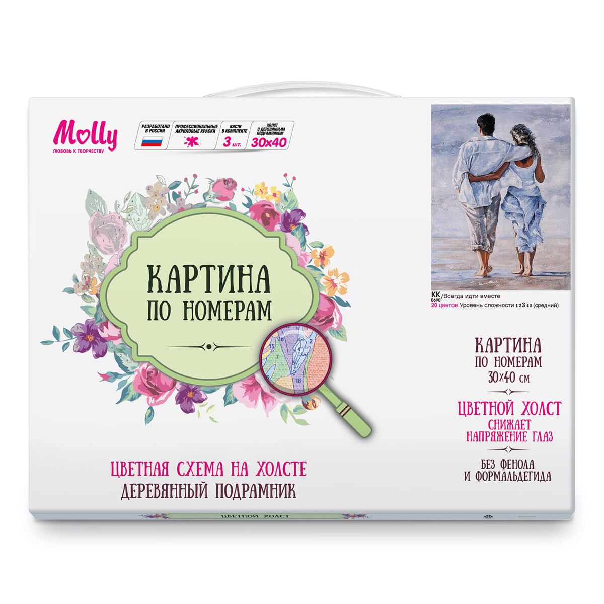 Картина по номерам с цветной схемой Molly Всегда идти вместе 30х40 20 цветов купить,NaN