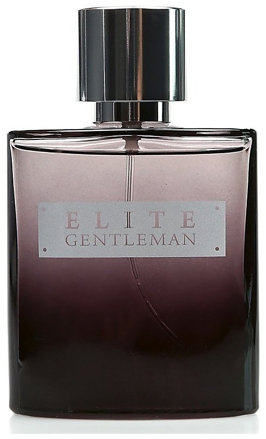 Avon Elite Gentleman туалетная вода EDT 75 мл, для мужчин купить,7499