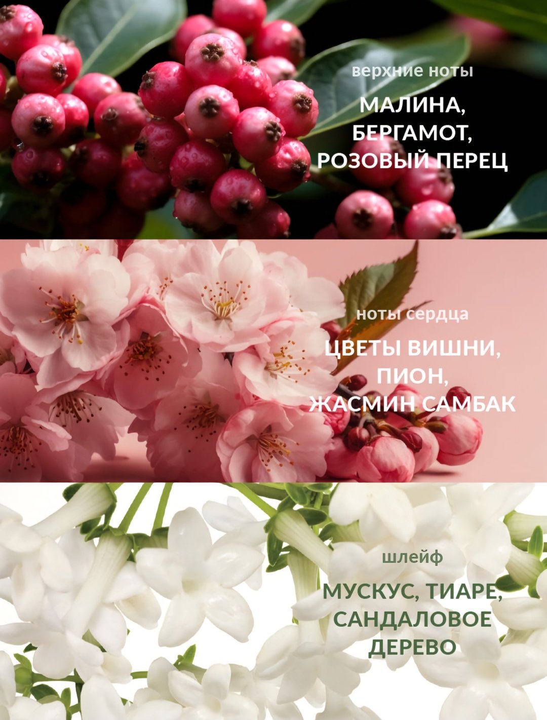 Avon Cherish для неё парфюмерная вода EDP 50 мл, для женщин - ForteMarket Avon Cherish для неё парфюмерная вода EDP 50 мл, для женщин купить,6500