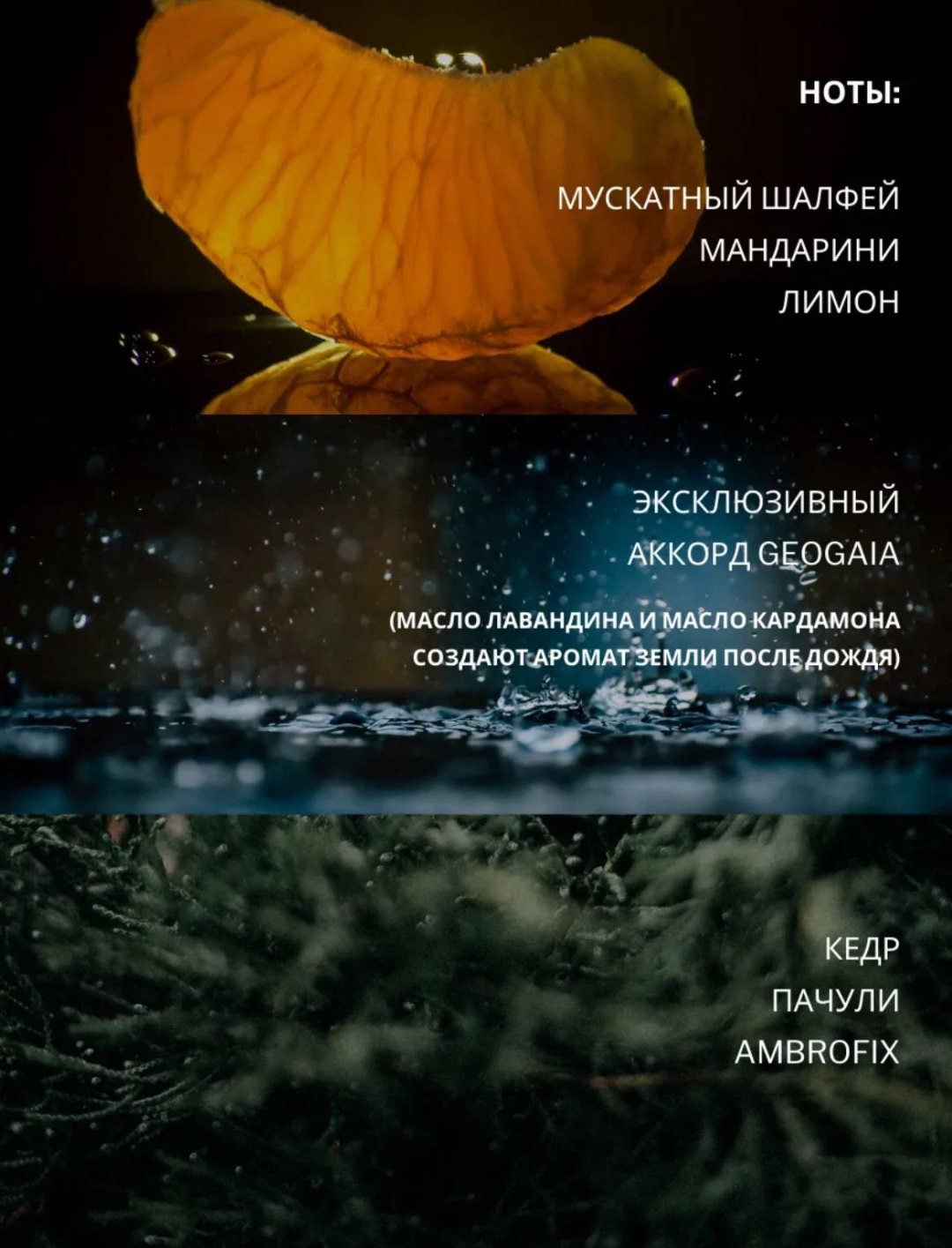 Avon Musk Rain туалетная вода EDT 75 мл, для мужчин купить,4999