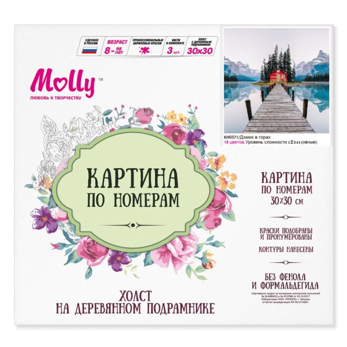 Картина по номерам Molly Домик в горах  30х30 18 цветов купить,NaN