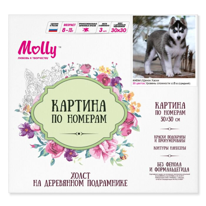 Картина по номерам Molly Щенок Хаски 30х30 20 цветов купить,NaN