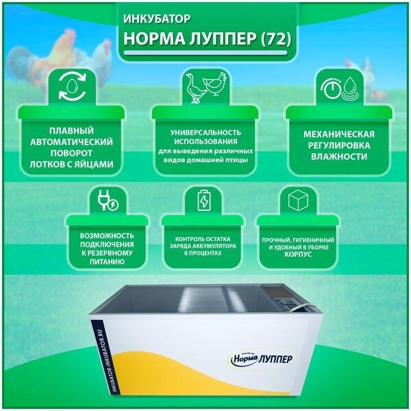 Блиц Норма Луппер металлический лоток купить,NaN