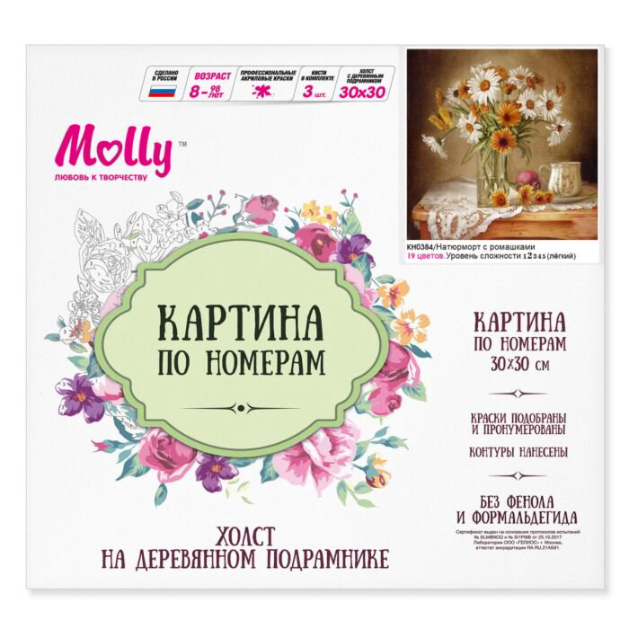 Картина по номерам Molly Яркий Натюрморт 30х30 19 цветов купить,NaN