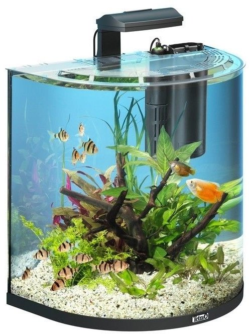 Tetra аквариумный набор 60 л купить,NaN