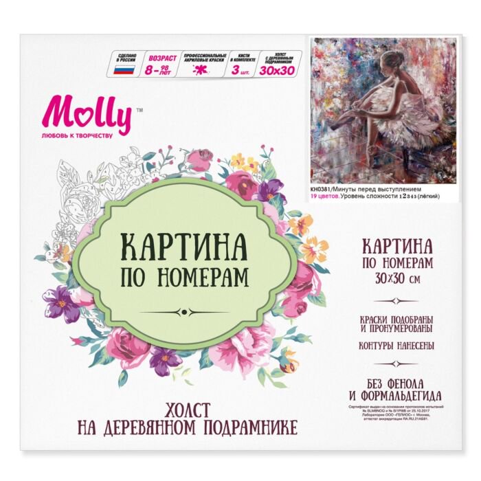 Картина по номерам Molly Минуты Перед Выступлением 30х30 19 цветов купить,NaN
