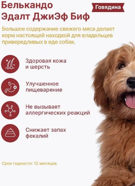 Корм Belcando Adult GF Beef Говядина для взрослых всех пород 12.5 кг купить,NaN