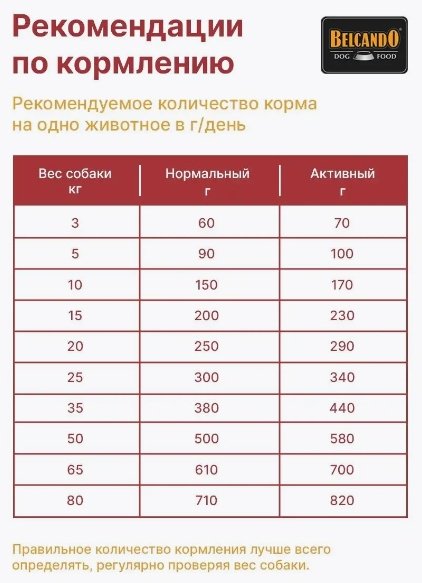Корм Belcando Adult GF Beef Говядина для взрослых всех пород 12.5 кг купить,NaN