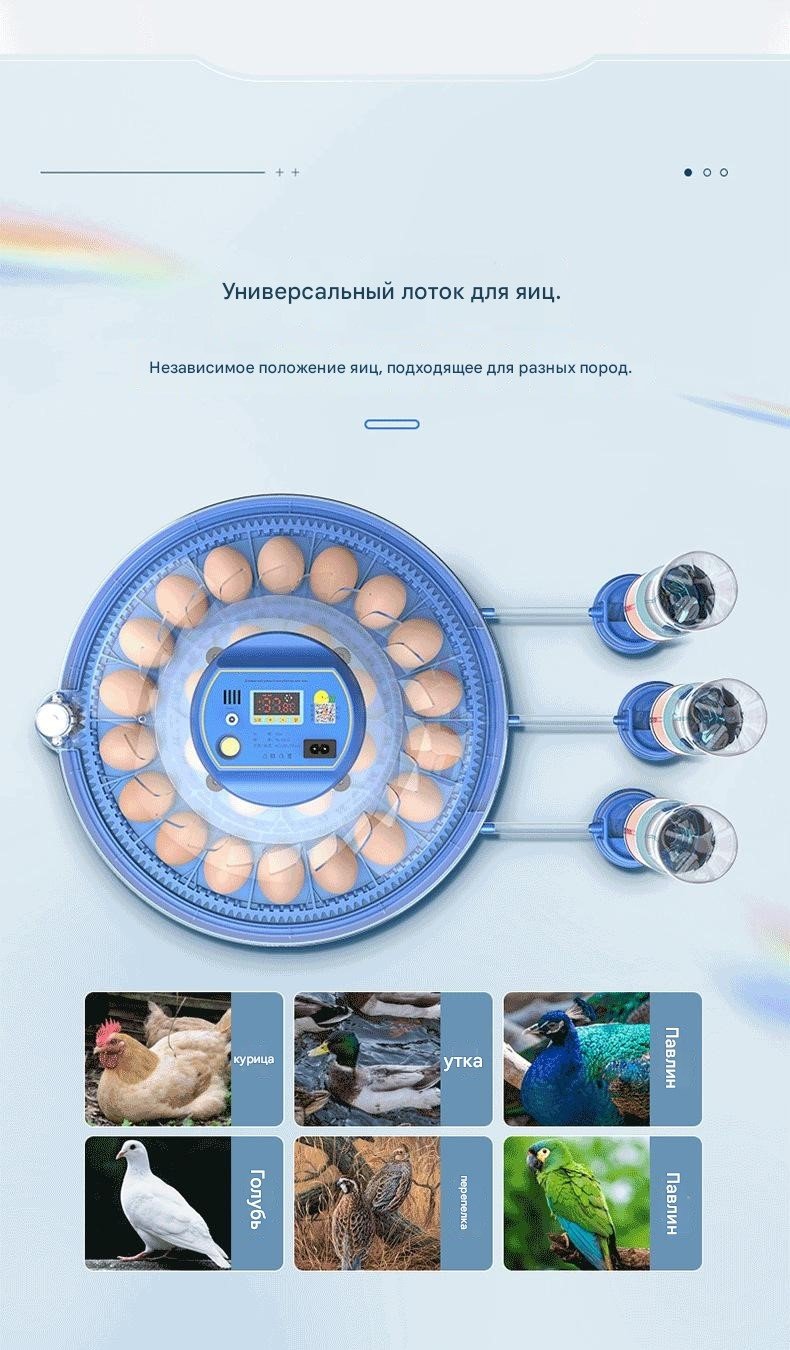 Инкубатор, вместимость: 30 шт купить,NaN