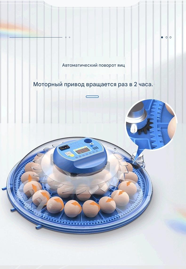 Инкубатор, вместимость: 30 шт купить,NaN