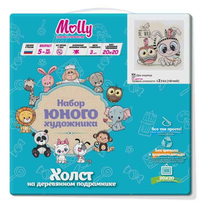 Картина по номерам Molly Два Индейца 20х20 12 цветов купить,NaN