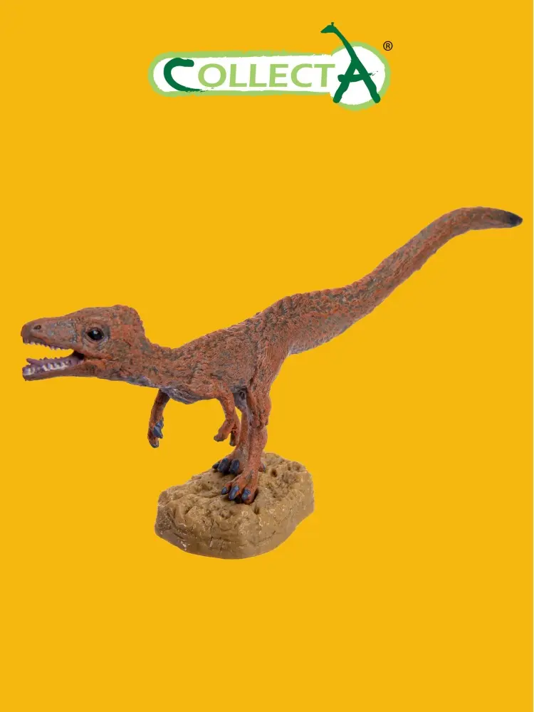 Collecta Сциурумим 4.8 см 1 шт