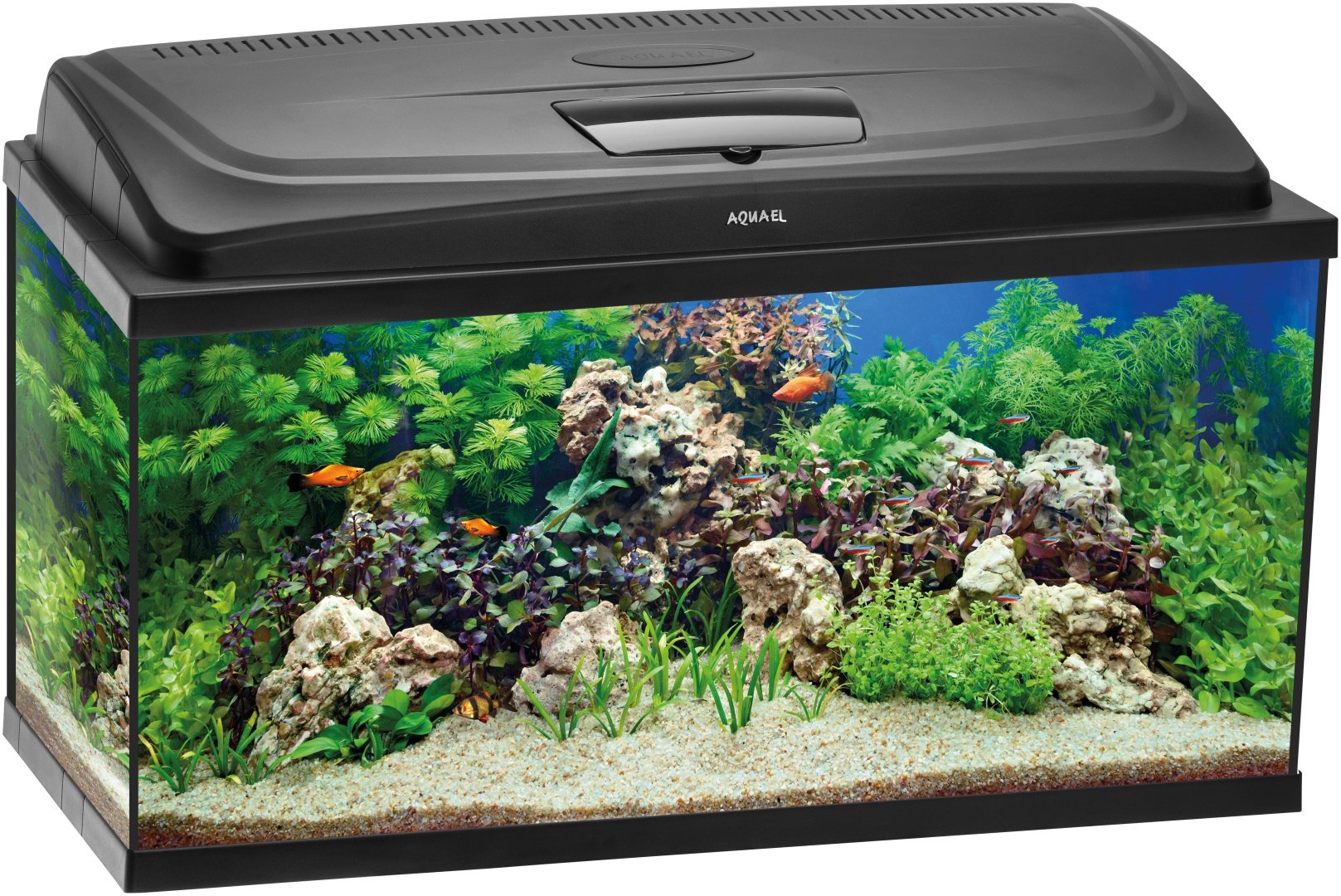 AQUAEL Aqua4family аквариумный набор 112 л купить,NaN