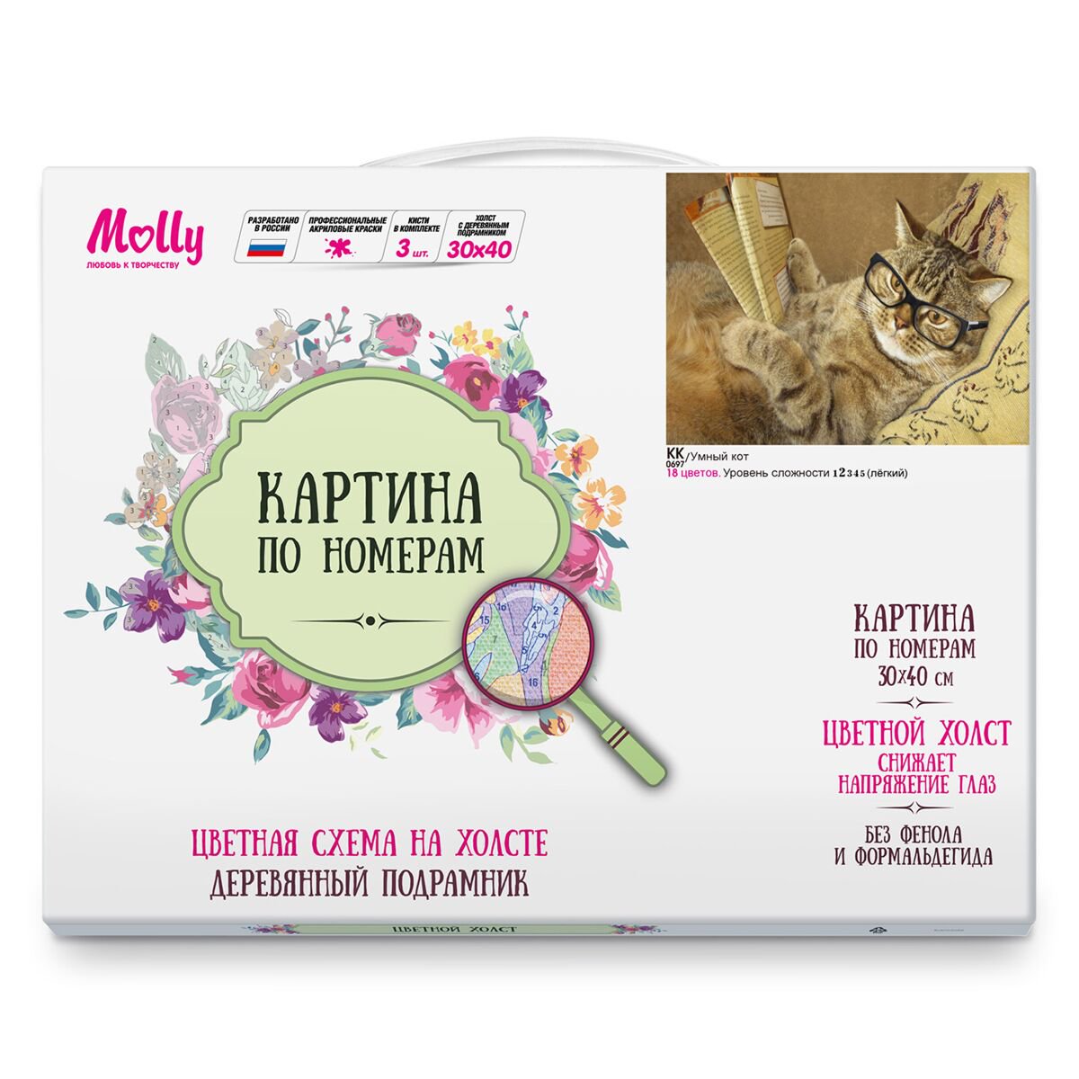 Картина по номерам с цветной схемой Molly Умный Кот 30х40 18 цветов купить,NaN