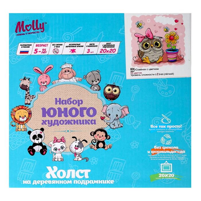 Картина по номерам Molly Совенок С Цветком 20х20 12 цветов купить,NaN