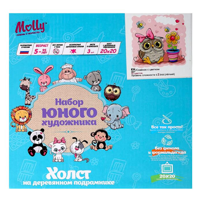 Картина по номерам Molly Совенок С Цветком 20х20 12 цветов купить,NaN