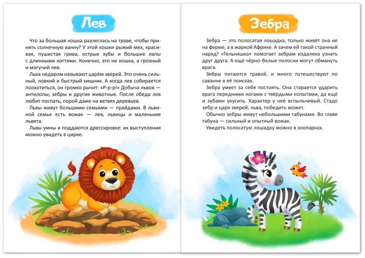 Книга Е.Сачкова: про животных купить,NaN