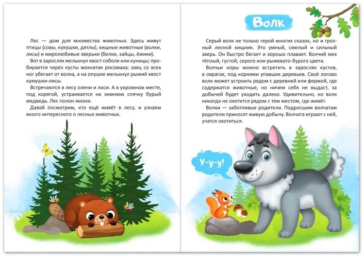 Книга Е.Сачкова: про животных купить,NaN
